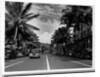 Street in Honolulu, Hawaii by Anonymous