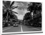Street in Honolulu, Hawaii by Anonymous