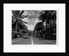 Street in Honolulu, Hawaii by Anonymous