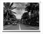 Street in Honolulu, Hawaii by Anonymous