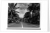Street in Honolulu, Hawaii by Anonymous