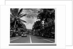 Street in Honolulu, Hawaii by Anonymous