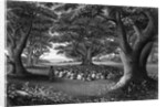 Missionary Beneath Trees by Anonymous
