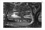 Missionary Beneath Trees by Anonymous