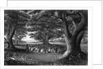 Missionary Beneath Trees by Anonymous