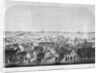 San Francisco by M. and N. Hanhart