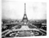 Eiffel Tower Over Exposition 1889 by Anonymous