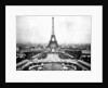 Eiffel Tower Over Exposition 1889 by Anonymous