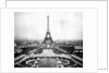 Eiffel Tower Over Exposition 1889 by Anonymous