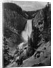 Lower Falls in the Grand Canyon of the Yellowstone by Anonymous