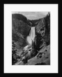 Lower Falls in the Grand Canyon of the Yellowstone by Anonymous