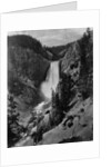 Lower Falls in the Grand Canyon of the Yellowstone by Anonymous