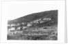 Puerto Rican Tuberculosis Hospital by Anonymous