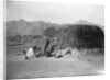 Pima Ki by Edward S. Curtis