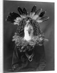Haschogan - Navaho by Edward S. Curtis