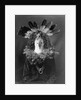 Haschogan - Navaho by Edward S. Curtis