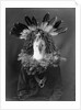 Haschogan - Navaho by Edward S. Curtis