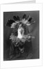 Haschogan - Navaho by Edward S. Curtis