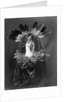 Haschogan - Navaho by Edward S. Curtis