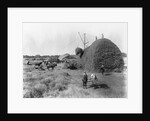 Alfalfa Haystack by Anonymous