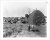 Alfalfa Haystack by Anonymous