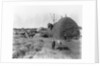 Alfalfa Haystack by Anonymous