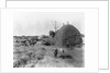 Alfalfa Haystack by Anonymous