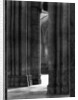 Columns of York Cathedral by Anonymous