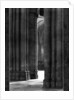 Columns of York Cathedral by Anonymous
