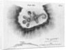 Print of a Burial Mount by Anonymous