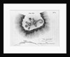 Print of a Burial Mount by Anonymous