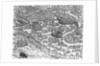 Map of Constantinople by Anonymous