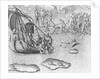 Johannes Staden Tries to Swim to a French Boat to Escape the Indians by Theodor de Bry From America by Anonymous