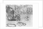 Johannes Staden Tries to Swim to a French Boat to Escape the Indians by Theodor de Bry From America by Anonymous