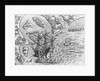 Johannes Staden Arrives at Unknown Island and Finds Portuguese Already There by Theodor de Bry From America by Anonymous