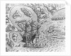 Johannes Staden Arrives at Unknown Island and Finds Portuguese Already There by Theodor de Bry From America by Anonymous