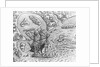 Johannes Staden Arrives at Unknown Island and Finds Portuguese Already There by Theodor de Bry From America by Anonymous