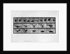 Animal locomotion by Anonymous