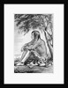 Chief O Cum-Who-Wust by C. B. Graham