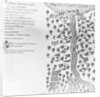 Map of Outagamis Lake and River by Anonymous