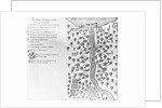 Map of Outagamis Lake and River by Anonymous