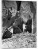 Antelope Ruin - Canon del Muerto by Edward S. Curtis