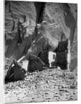 Antelope Ruin - Canon del Muerto by Edward S. Curtis