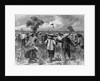 Workers at a Sugar Plantation by Anonymous
