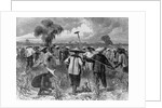 Workers at a Sugar Plantation by Anonymous