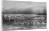 Piers in Skagway by Anonymous