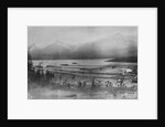 Piers in Skagway by Anonymous