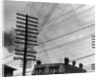 Telephone Poles and Wires by Anonymous
