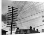 Telephone Poles and Wires by Anonymous