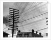 Telephone Poles and Wires by Anonymous